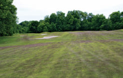 Dark purple fairway due to Meyer zoysiagrass seedhead production (Photo: Aaron Patton)