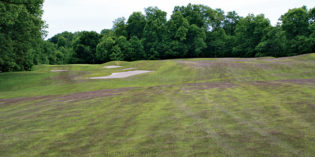 Dark purple fairway due to Meyer zoysiagrass seedhead production (Photo: Aaron Patton)