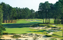 Pinehurst No. 4, Hole No. 5 (Photo: Pinehurst Resort)