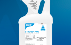 Quali-Pro Strobe Pro (Photo: Quali-Pro)