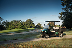 Hauler 800 ELiTE (Photo: Textron Specialized Vehicles) 