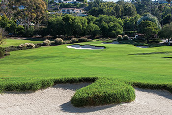 Kikuyu grass surrounding bunker (Photo: Palos Verdes CC)