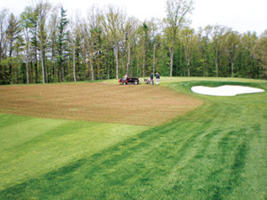 Compost application on an approach to a putting green. (Photo: Pete Landschoot)