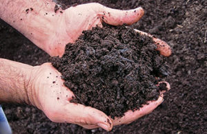 Compost (Photo: Pete Landschoot)