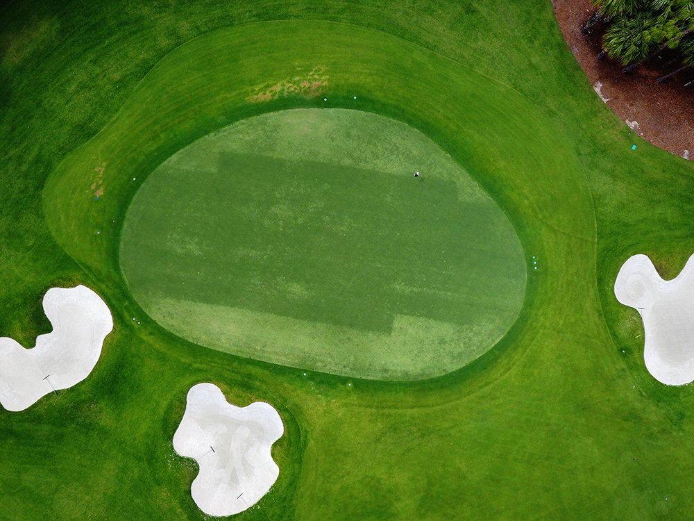 Spring results from a fall application of Indemnify on ultradwarf bermudagrass (Photo: Tim Heirs, The Club at Mediterra)