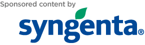 Logo: Syngenta