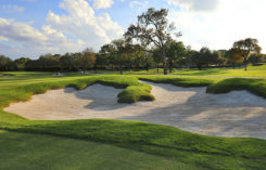 TDA and builder Landscapes Unlimited restored all tees, greens and bunkers. (Photo: On Course Strategies)