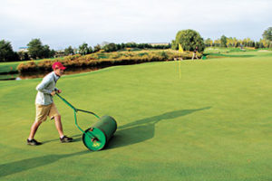 Young laborer rolling greens (Photo: Seth Jones)