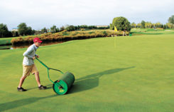 A young laborer rolling greens (Photo: Seth Jones)