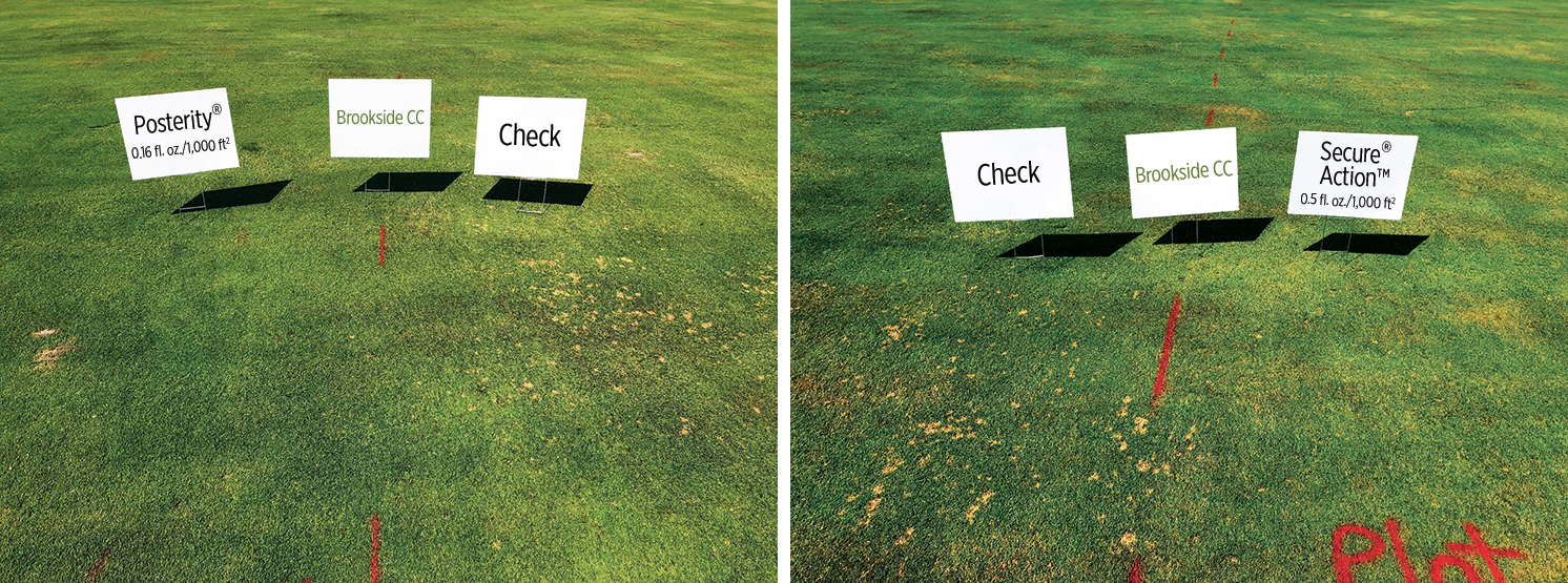 Posterity test plot and Secure Action test plot. Photo: Brookside Golf & Country Club