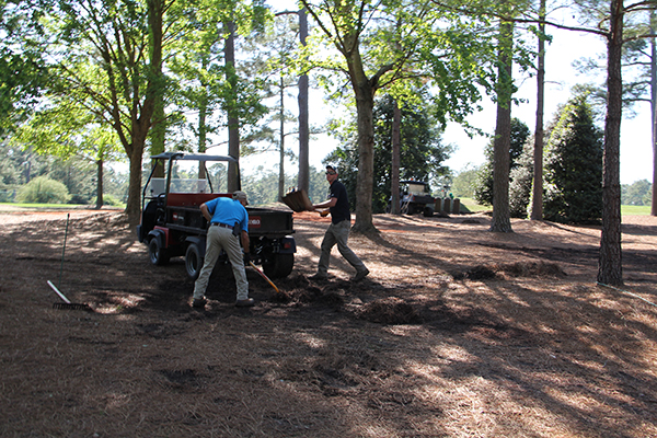 Tree work at Augusta National (Photo: Seth Jones)