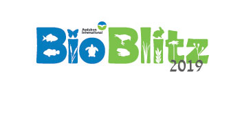 BioBlitz 2019 logo 