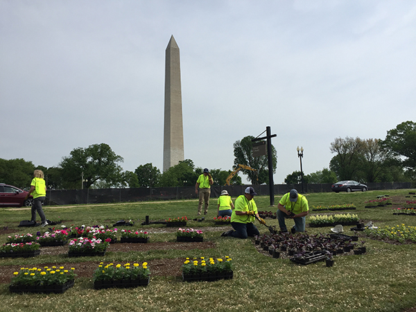 Volunteers planted 92 beds at the Floral Library. (Photo: Golfdom Staff)