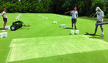 Application of sand topdressing treatments. (Photo: Hui Chen)