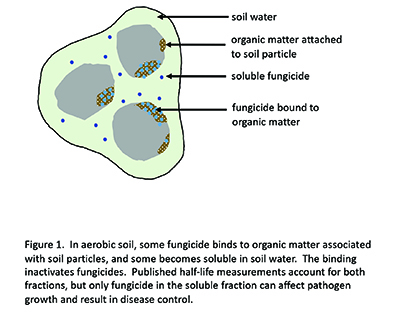 Figure 1 (Source: Rick Latin)