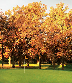 Yellow trees in autumn on golf course (Photo: Jeff VerCautren)