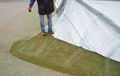 Photo: Evergreen Turf Covers