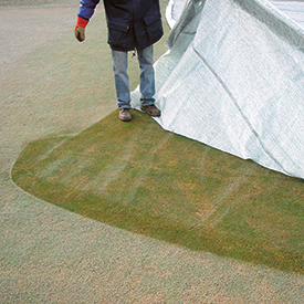 Photo: Evergreen Turf Covers