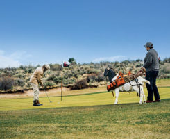 Goat on golf course (Photo: Silvies Valley Ranch/KemperLesnik)