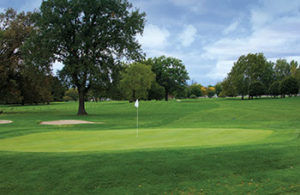 The City of Detroit superintendents have revived the greens and focused on drainage on each of the three golf courses. (Photo: Ben Neuman)