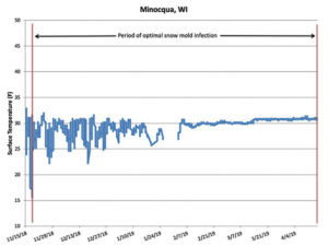 Surface temperature under the snow cover measured on the research plot in Minocqua, Wis. Deep snow cover provided optimal conditions for snow mold from November through April.