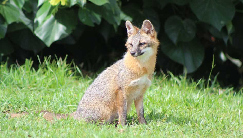 (Photo: Cheryl Glick)