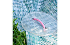Photo: Evergreen Turf Covers)