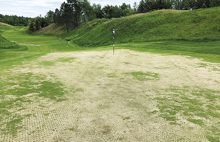 Annual bluegrass winter kill in a putting green with green patches of creeping bentgrass that survived. (Photo: Sam Bauer)