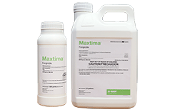 BASF Maxima fungicide (Photo: BASF)