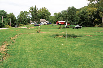 Meyer zoysia greens at BCN (Photo: Seth Jones)