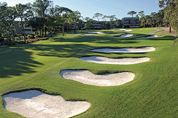 Pigment in liquid overseed gives fairways a boost in color and the appearance that they have been overseeded. (Photo courtesy of Innisbrook Resort)