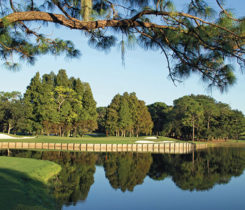 (Photo courtesy of Innisbrook Resort)
