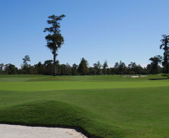 A look at the greens of the 13th hole at TPC Louisiana. (Photo: TPC Louisiana)