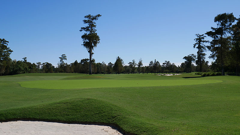 A look at the greens of the 13th hole at TPC Louisiana. (Photo: TPC Louisiana)