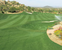 Overseeded golf course (Photo: Brian Whitlark, USGA)