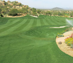 Overseeded golf course (Photo: Brian Whitlark, USGA)