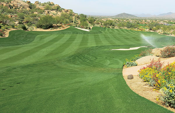 Overseeded golf course (Photo: Brian Whitlark, USGA)