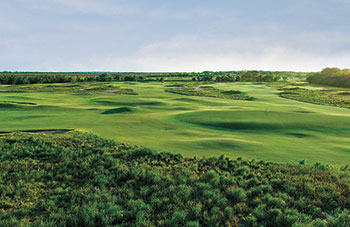 Zoysiagrass at Trinity Forest GC (Photo: Trinity Forest Golf Club)