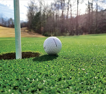 Zoysia green (Photo: Bladerunner Farms)