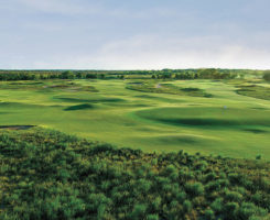 Zoysiagrass at Trinity Forest GC (Photo: Trinity Forest Golf Club)