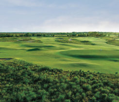 Zoysiagrass at Trinity Forest GC (Photo: Trinity Forest Golf Club)