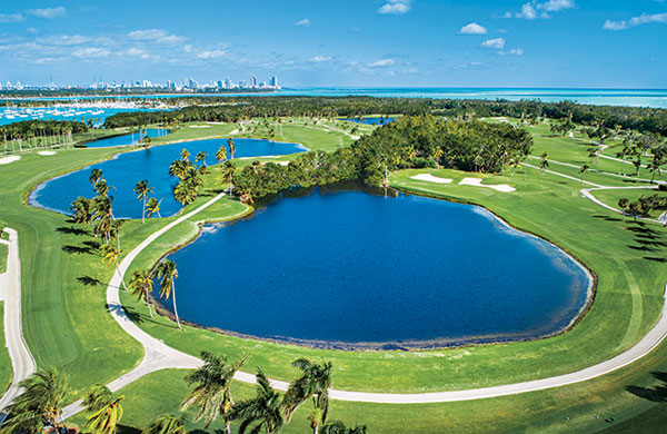 for turf removal. (photo previous page courtesy of Crandon Golf at Key Biscayne)