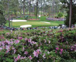 Shot of Augusta National during Masters (Photo: Golfdom Staff)