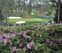 Shot of Augusta National during Masters (Photo: Golfdom Staff)