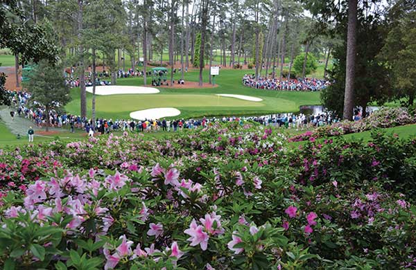 Shot of Augusta National during Masters (Photo: Golfdom Staff)