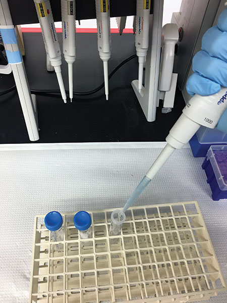 Mixing 14C-fungicide in water before applying to soil. (Photo: Wendell Hutchins)