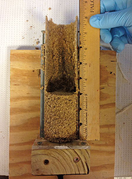 Sectioning soil into 1-inch increments to recover applied 14C-fungicide. (Photo: P. Maxwell)