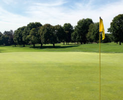 Photo: Ryan Cummings, Elcona Country Club