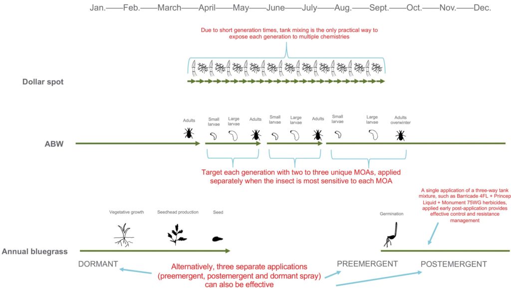 <strong>Figure 2</strong> Tank mixtures or rotations can be effective resistance-management strategies, depending on generation time of the target pest. For high-risk pests, each generation of the pest should be exposed to at least two unique MOAs to prevent resistant individuals from increasing in the population. Each arrow indicates a complete generation of the pest. (Graphic: Syngenta)