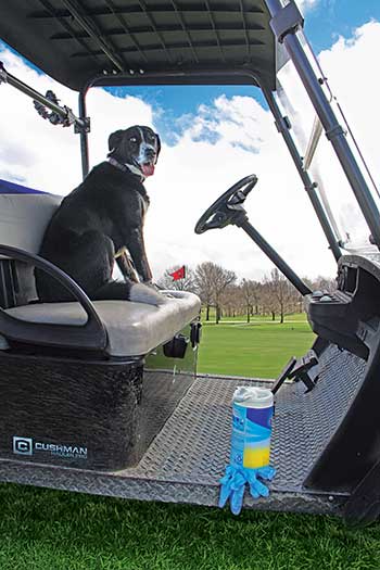 Many golf courses around the country are careful to sanitize equipment and golf carts and provide employees with personal protective equipment such as gloves. Here, Wolf Creek Superintendent Bill Irving’s dog, Frazier, looks on during these uncertain times. (Photo: Golfdom Staff)